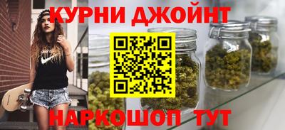 дживик Кингисепп