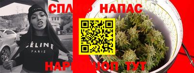 дживик Кингисепп