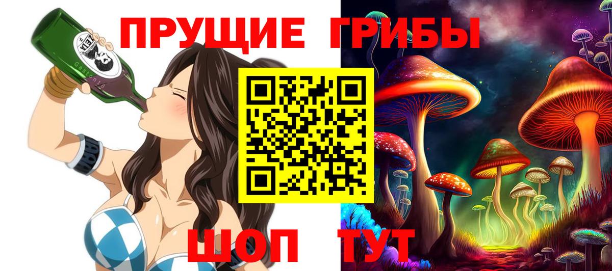 Псилоцибиновые грибы Psilocybe Кохма