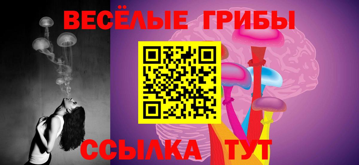 Галлюциногенные грибы Psilocybine cubensis  Вход с VPN  Кохма 